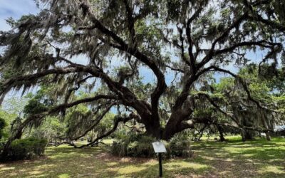 Jekyll Island, Georgia