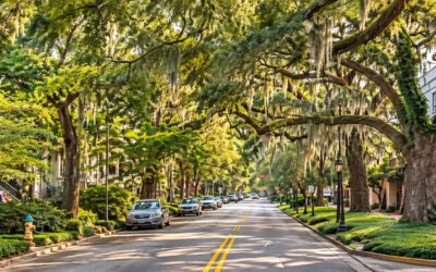 Skidaway Island State Park – Savannah GA